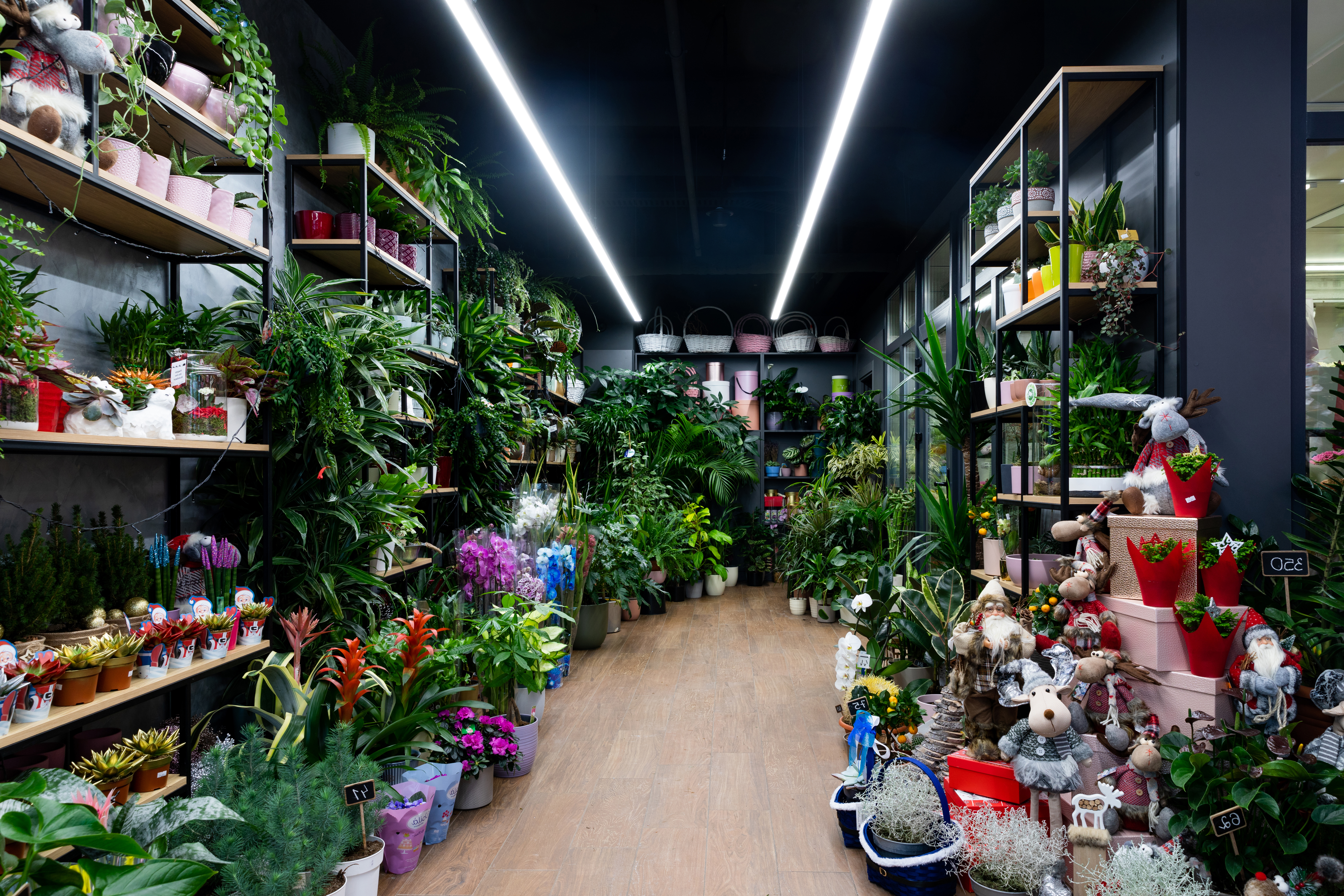 fleurop-teaser-image